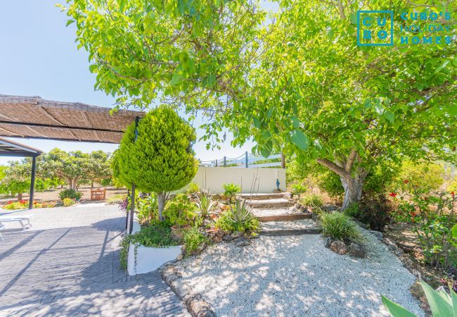 Cottage in Alhaurín el Grande - Cubo's Finca Pati Cottage in Alhaurín el Grande - Cubo's Finca Pati