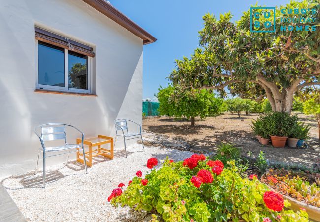 Cottage in Alhaurín el Grande - Cubo's Finca Pati Cottage in Alhaurín el Grande - Cubo's Finca Pati