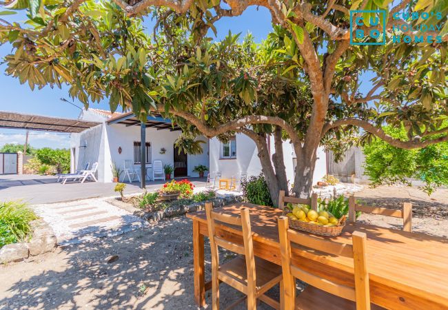 Cottage in Alhaurín el Grande - Cubo's Finca Pati Cottage in Alhaurín el Grande - Cubo's Finca Pati