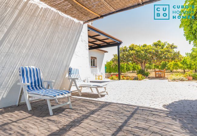 Cottage in Alhaurín el Grande - Cubo's Finca Pati Cottage in Alhaurín el Grande - Cubo's Finca Pati