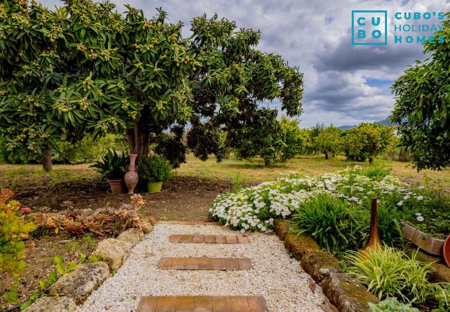Cottage in Alhaurín el Grande - Cubo's Finca Pati Cottage in Alhaurín el Grande - Cubo's Finca Pati