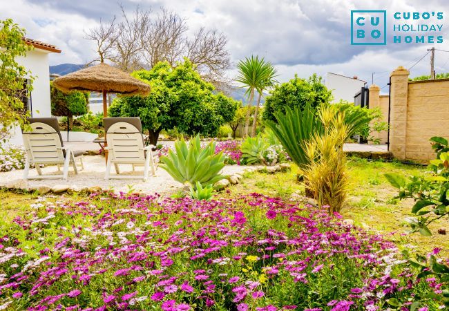Cottage in Alhaurín el Grande - Cubo's Finca Pati Cottage in Alhaurín el Grande - Cubo's Finca Pati