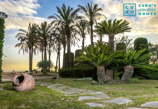 Garden of this luxury villa in Malaga
