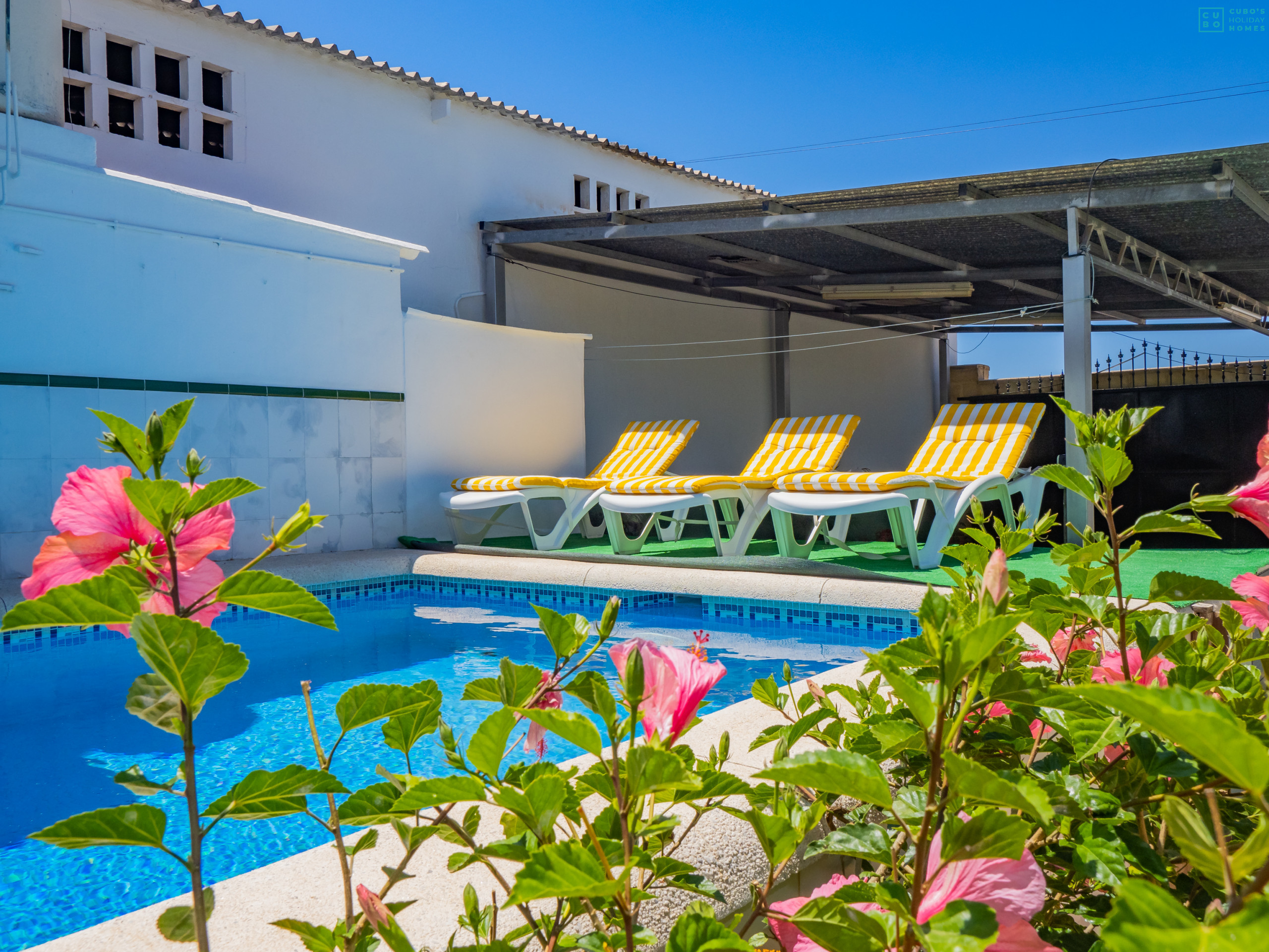 Pool of the accommodation with fenced plot.