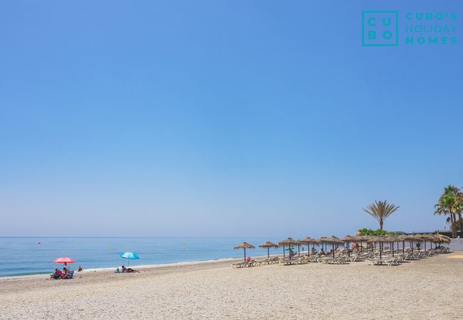 Apartment in Torrox Costa - Cubo's Beach Apartment Torrox Costa Apartment in Torrox Costa - Cubo's Beach Apartment Torrox Costa