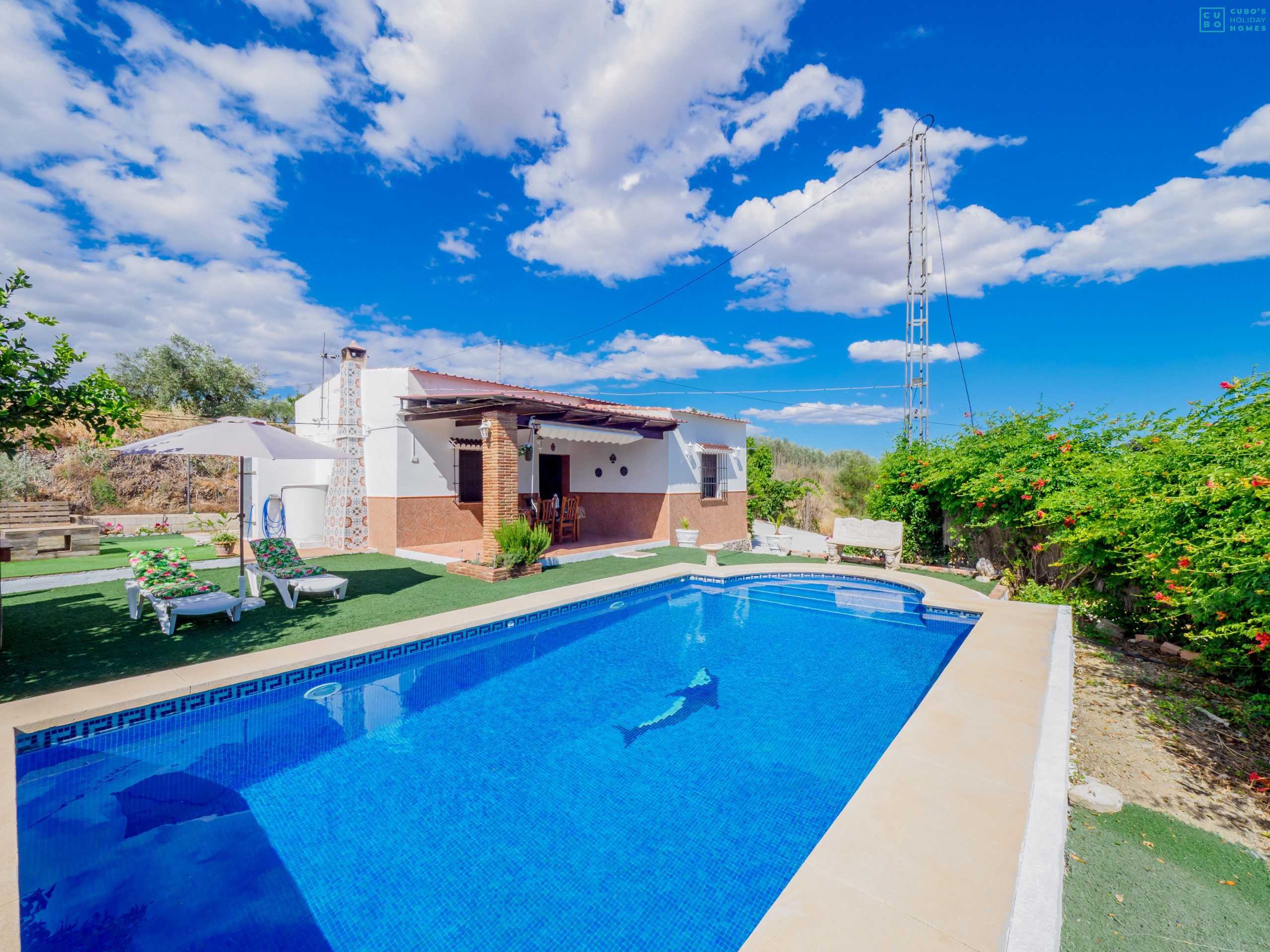 Pool and exterior of the house