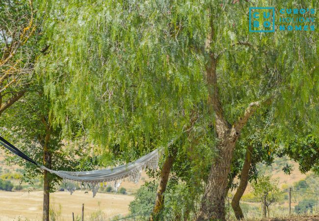 Cottage in Archidona  - Cubo's Cortijo El Perezon Cottage in Archidona  - Cubo's Cortijo El Perezon