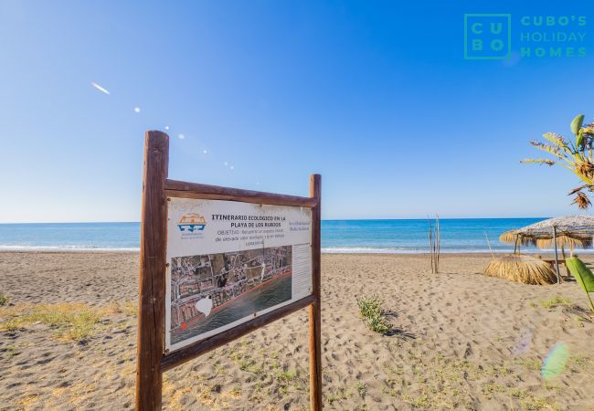 Rent by room in Torre de Benagalbon - Cubo's Hostal William's Sunny 1 with Breakfast Rent by room in Torre de Benagalbon - Cubo's Hostal William's Sunny 1 with Breakfast