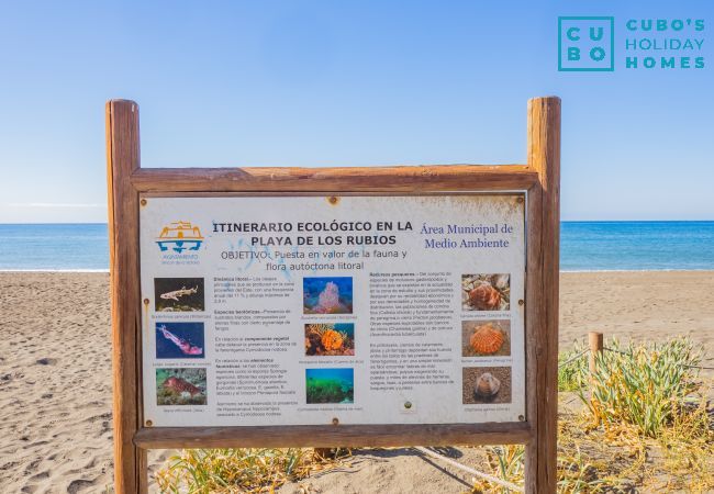 Rent by room in Torre de Benagalbon - Cubo's Hostal William's Sunny 3 with Breakfast Rent by room in Torre de Benagalbon - Cubo's Hostal William's Sunny 3 with Breakfast