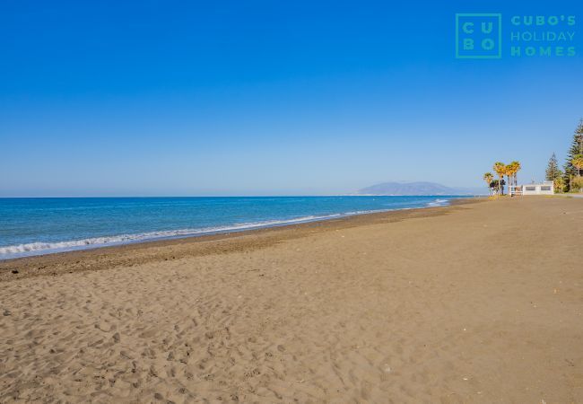 Rent by room in Torre de Benagalbon - Cubo's Hostal William's Sunny 5 with Breakfast Rent by room in Torre de Benagalbon - Cubo's Hostal William's Sunny 5 with Breakfast