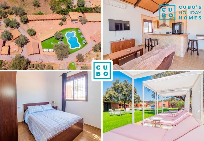 Spacious holiday flat with swimming pool in Cordoba within a rural complex.