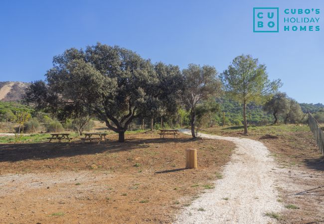 Cottage in Alhaurín el Grande - Cubo's Casa La Bravo BBQ Roof Terrace Cottage in Alhaurín el Grande - Cubo's Casa La Bravo BBQ Roof Terrace