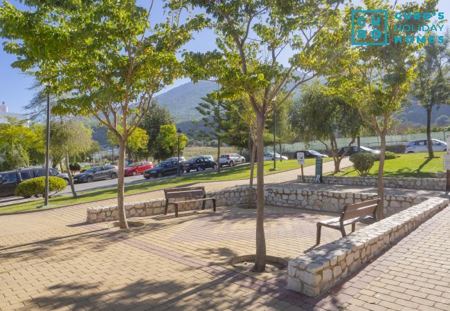 Cottage in Alhaurín el Grande - Cubo's Casa La Bravo BBQ Roof Terrace Cottage in Alhaurín el Grande - Cubo's Casa La Bravo BBQ Roof Terrace
