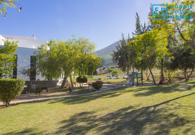 Cottage in Alhaurín el Grande - Cubo's Casa La Bravo BBQ Roof Terrace Cottage in Alhaurín el Grande - Cubo's Casa La Bravo BBQ Roof Terrace