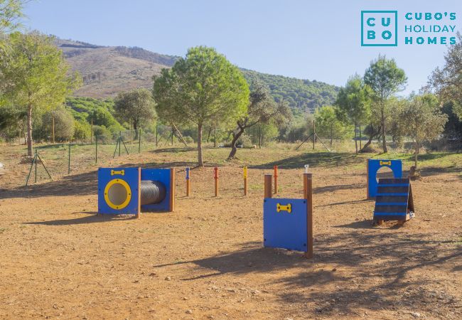 Cottage in Alhaurín el Grande - Cubo's Casa La Bravo BBQ Roof Terrace Cottage in Alhaurín el Grande - Cubo's Casa La Bravo BBQ Roof Terrace