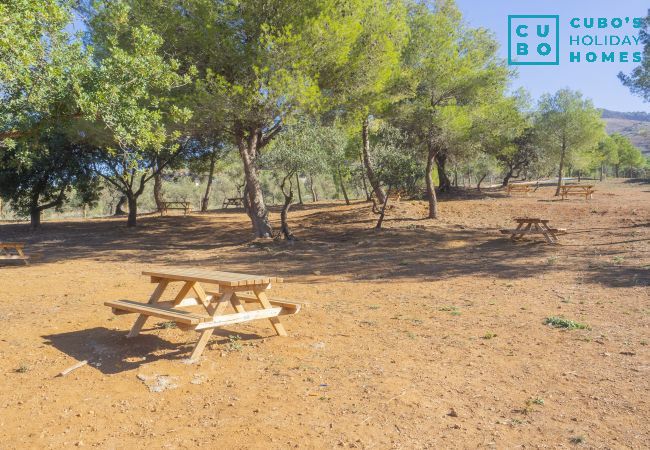 Cottage in Alhaurín el Grande - Cubo's Casa La Bravo BBQ Roof Terrace Cottage in Alhaurín el Grande - Cubo's Casa La Bravo BBQ Roof Terrace