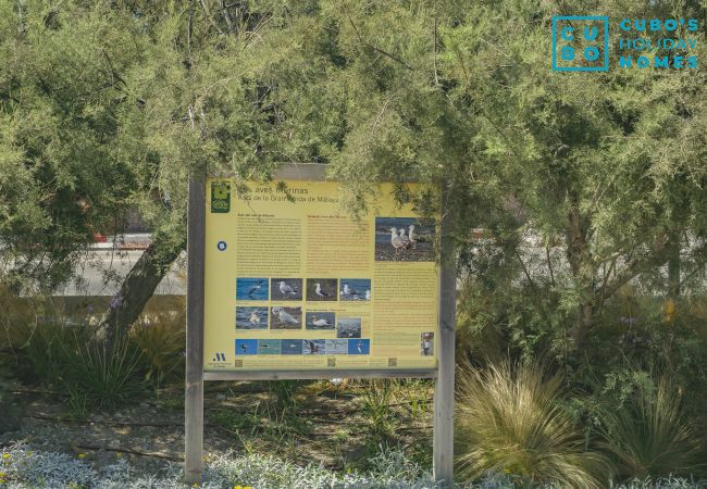Apartment in Estepona - Cubo's Estepona Oceanview Apartment & Free Parking Apartment in Estepona - Cubo's Estepona Oceanview Apartment & Free Parking