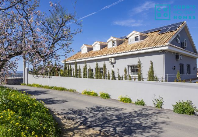 Apartment in Alhaurín el Grande - Cubo's Lucy's Place 1 Bedroom Apartment Apartment in Alhaurín el Grande - Cubo's Lucy's Place 1 Bedroom Apartment