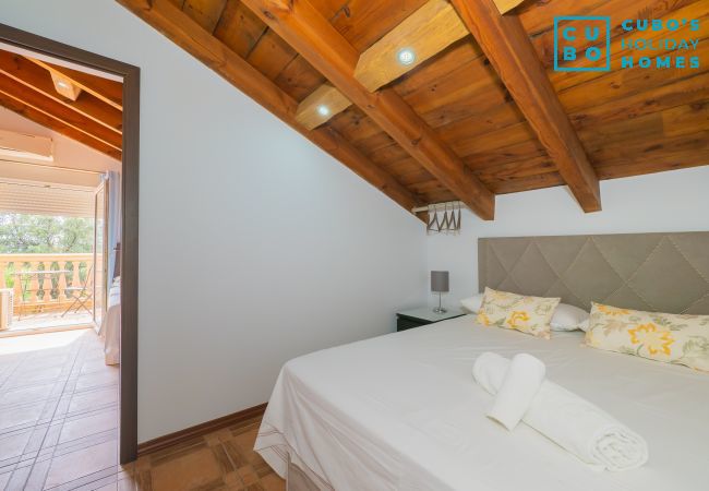 Villa in Alhaurín el Grande - Cubo's Villa Las Palmeras Altas 14PAX Villa in Alhaurín el Grande - Cubo's Villa Las Palmeras Altas 14PAX