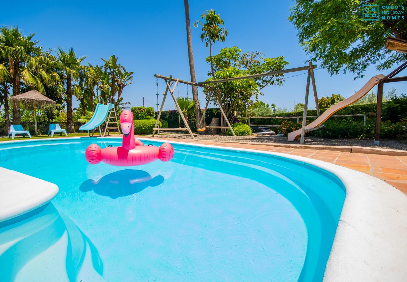 Heated pool of this villa in Alhaurín de la Torre