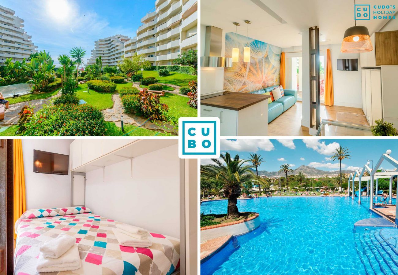 Charming flat in Benalmádena with swimming pool and close to the beach.