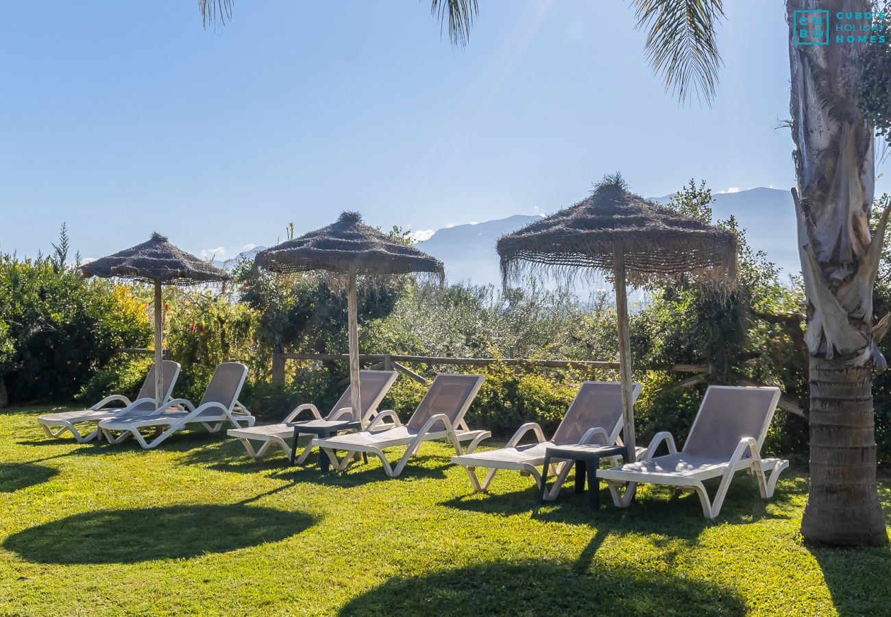 Villa in Alhaurín el Grande - Cubo's Villa Cortijo la Indiana