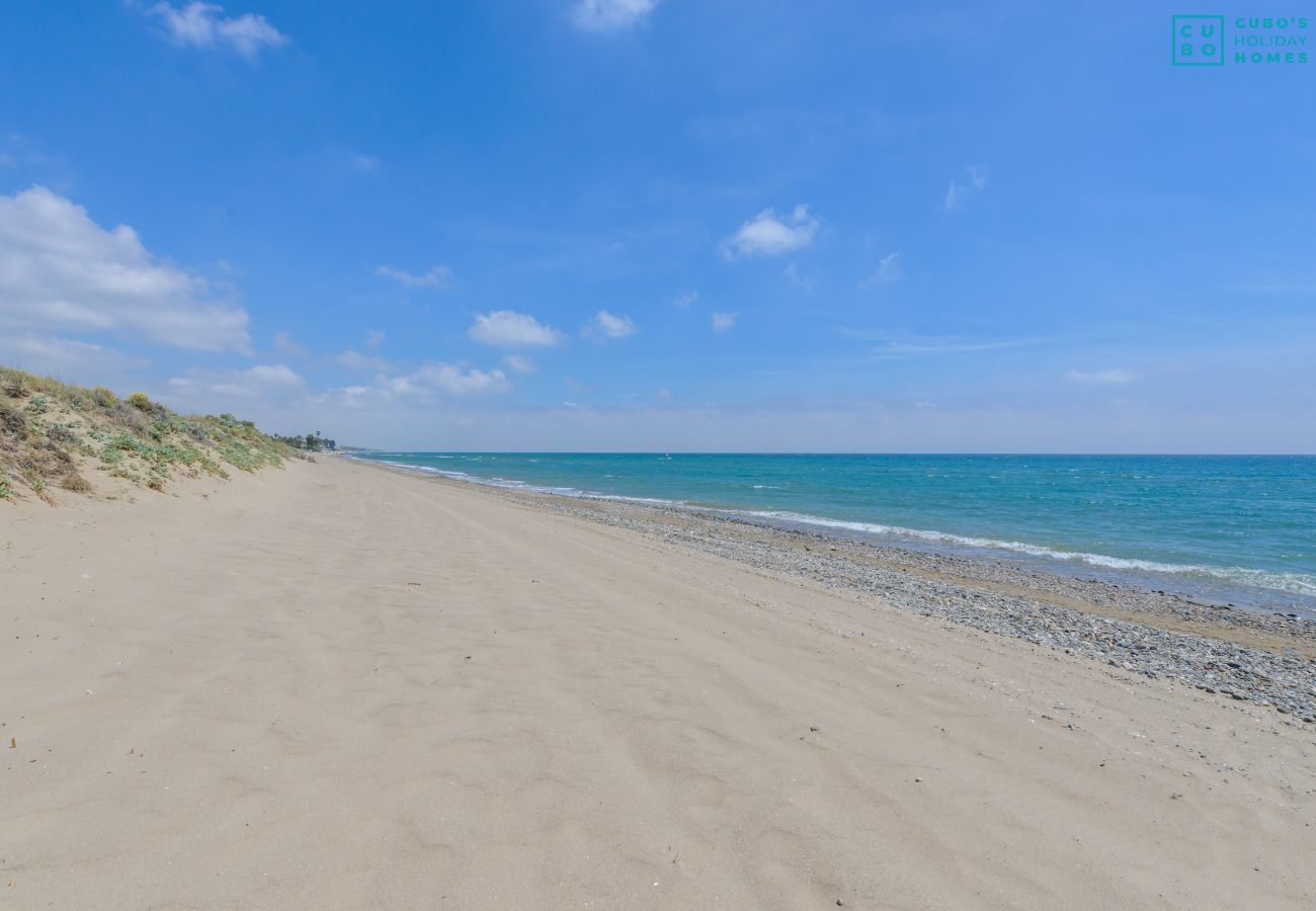 Beach near this apartment in Marbella