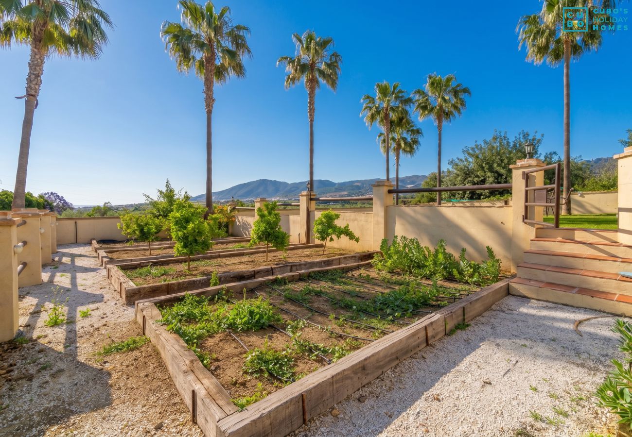 Villa in Alhaurin de la Torre - Cubo's Villa Los Dos Reyes