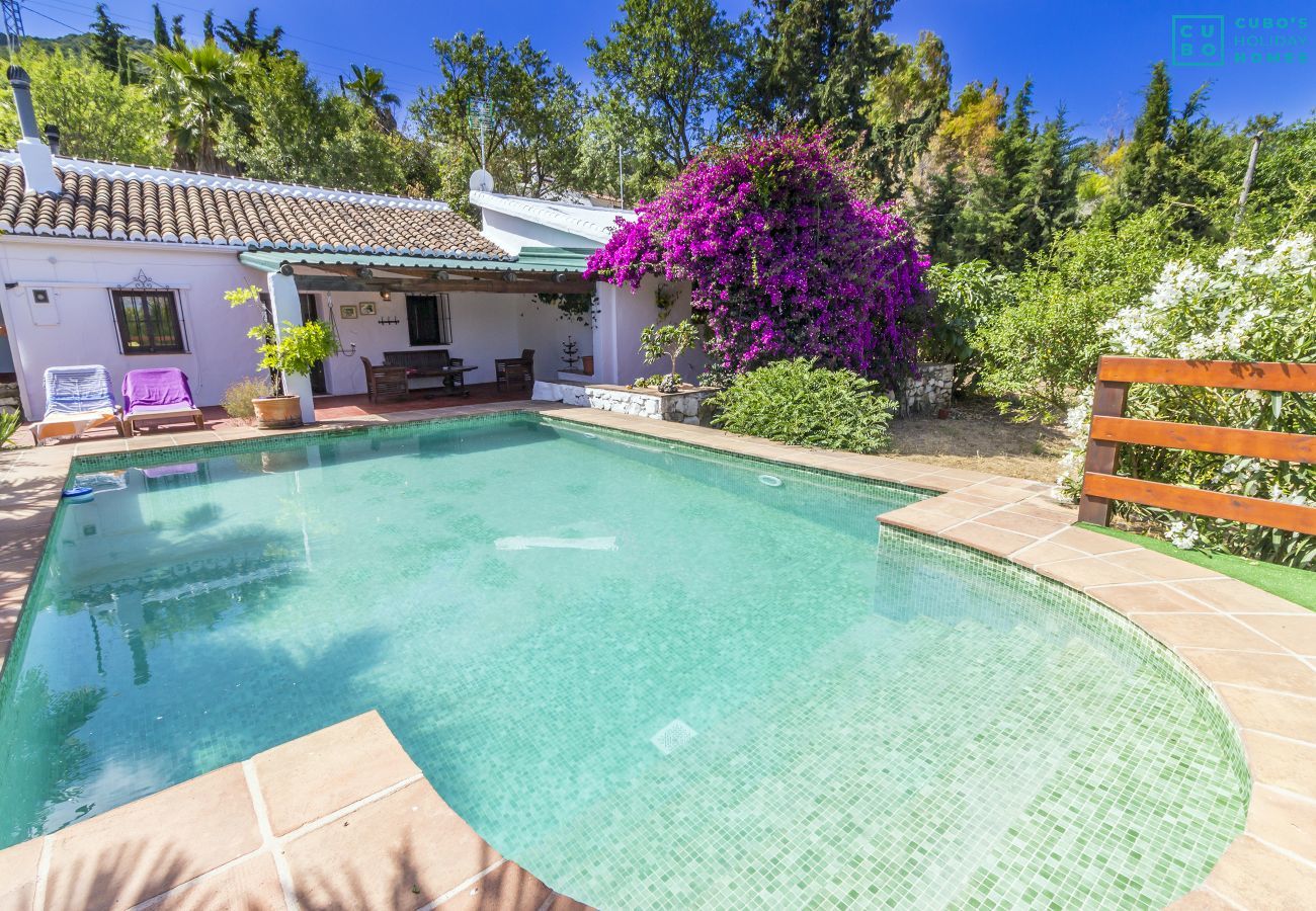 Pool of this rural house in Alhaurín el Grande