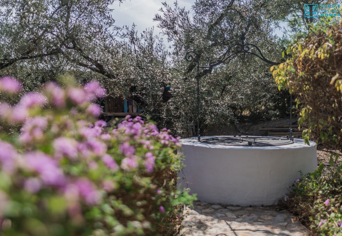 Garden of this villa in Alhaurín el Grande