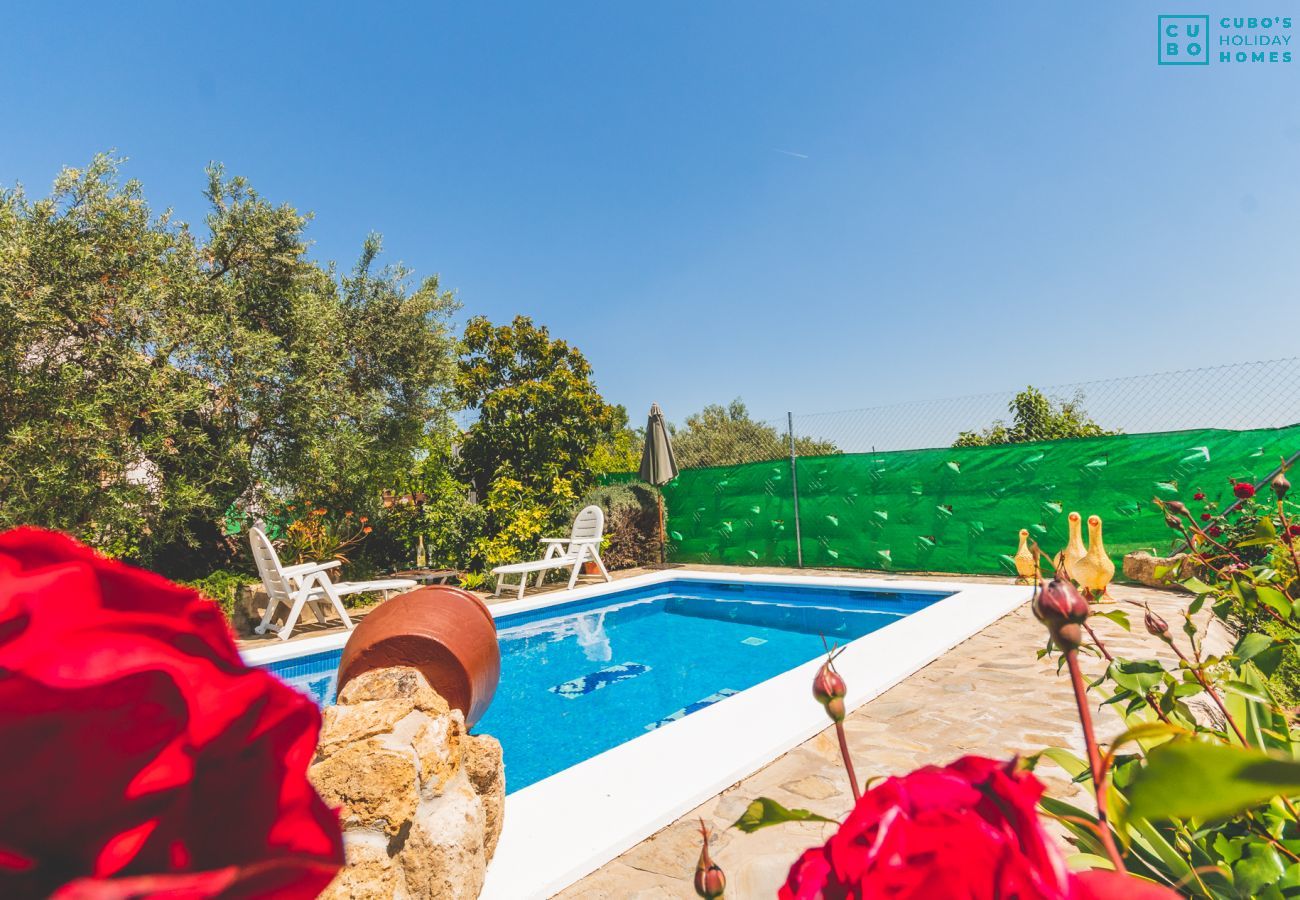 Private pool of this estate in Alhaurín el Grande