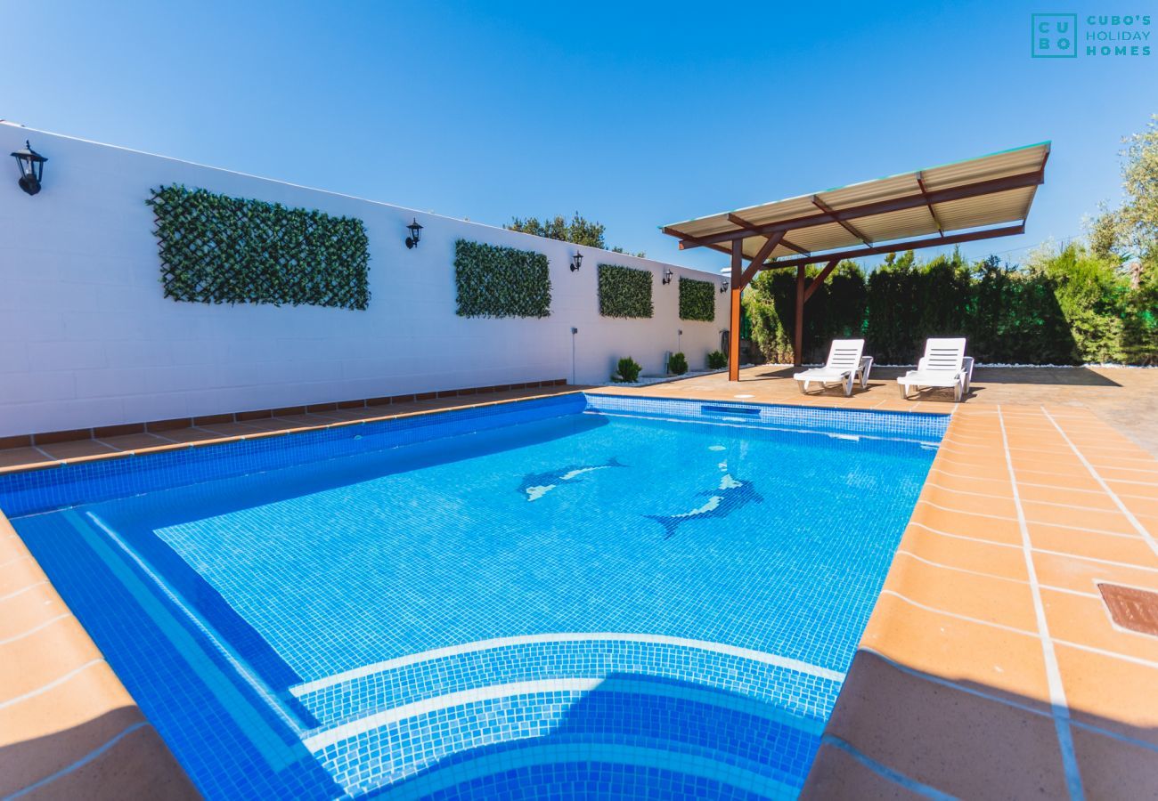 Private pool of this rural house in Alhaurín el Grande