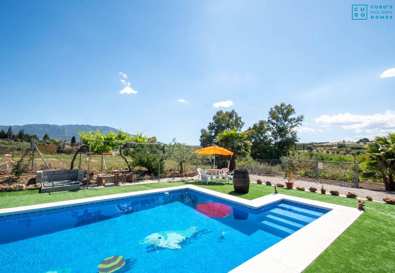 Private pool of this estate in Alhaurín el Grande
