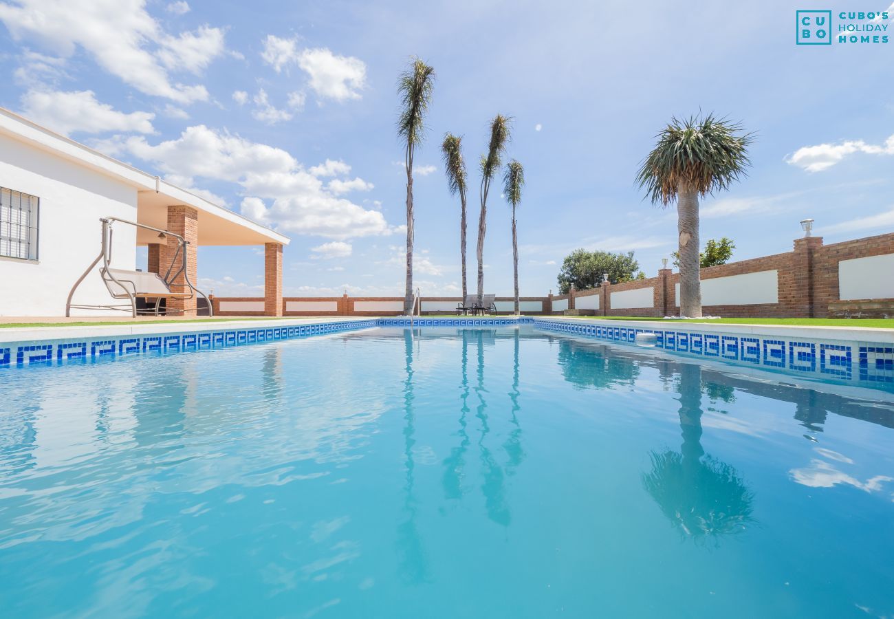 Private pool of this Villa in Cártama