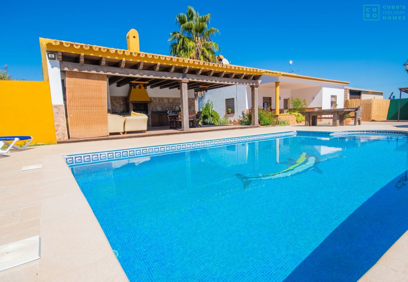 Pool of this farm in Alhaurín el Grande