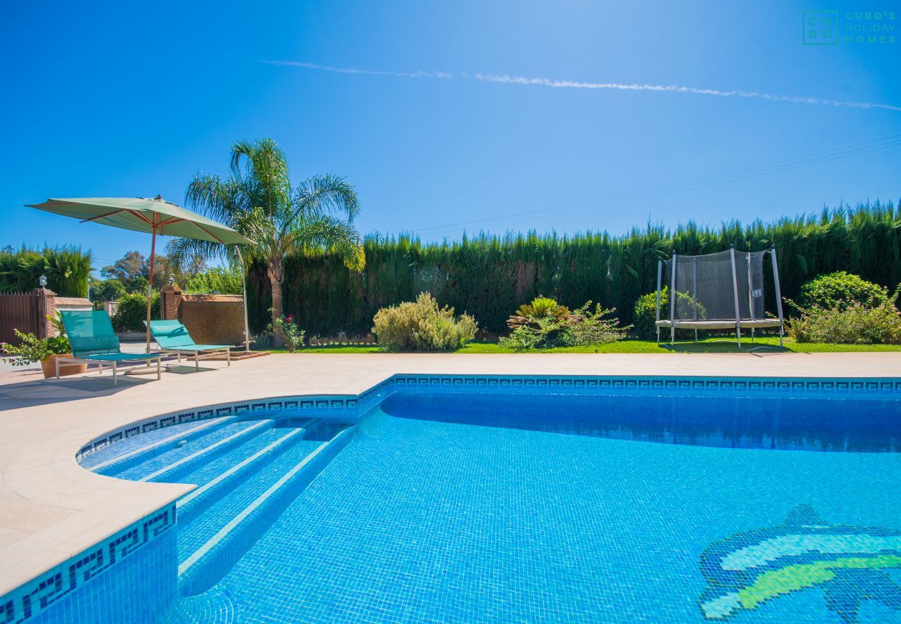 Pool of this farm in Alhaurín el Grande