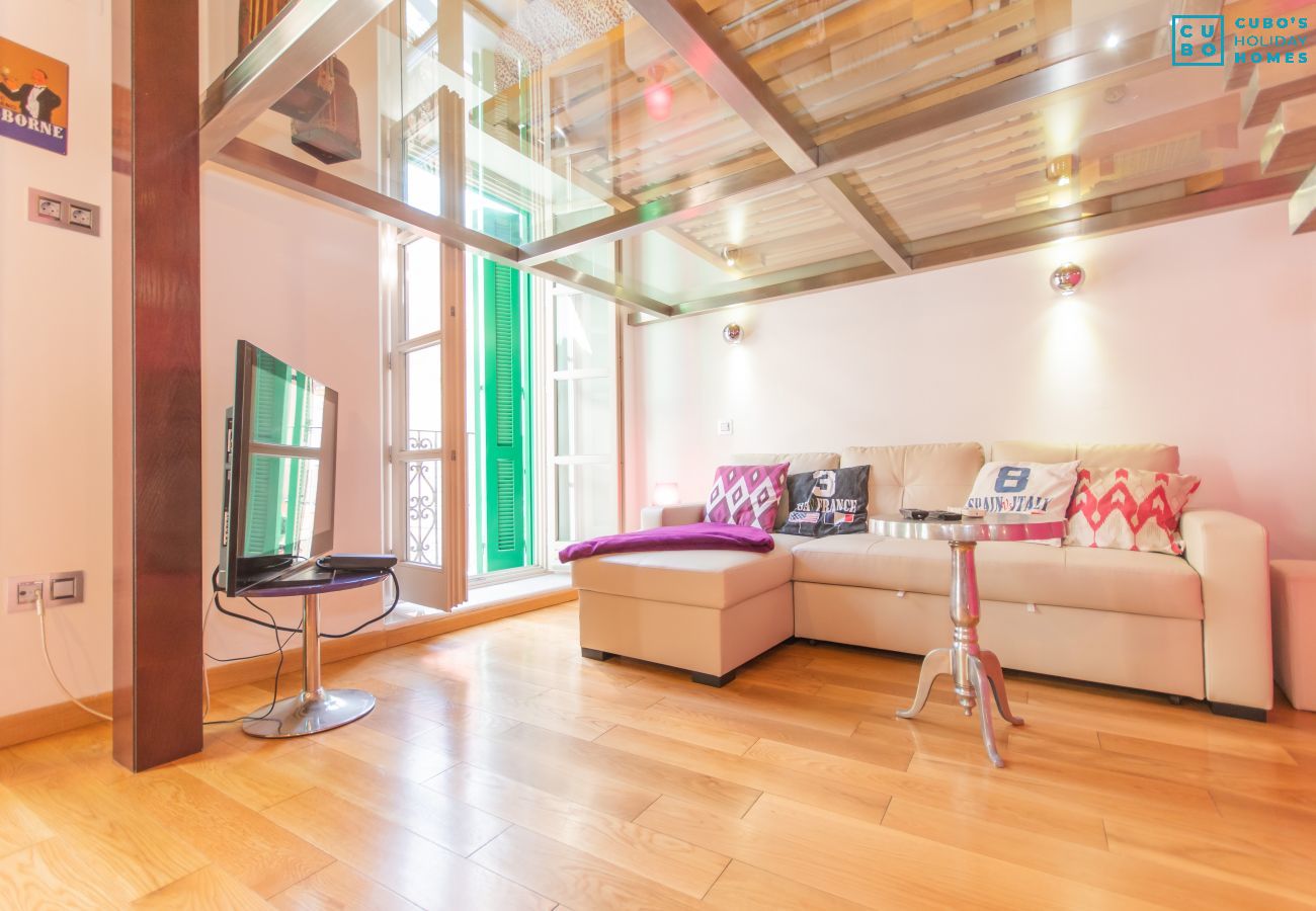 Living room of this apartment in the center of Malaga