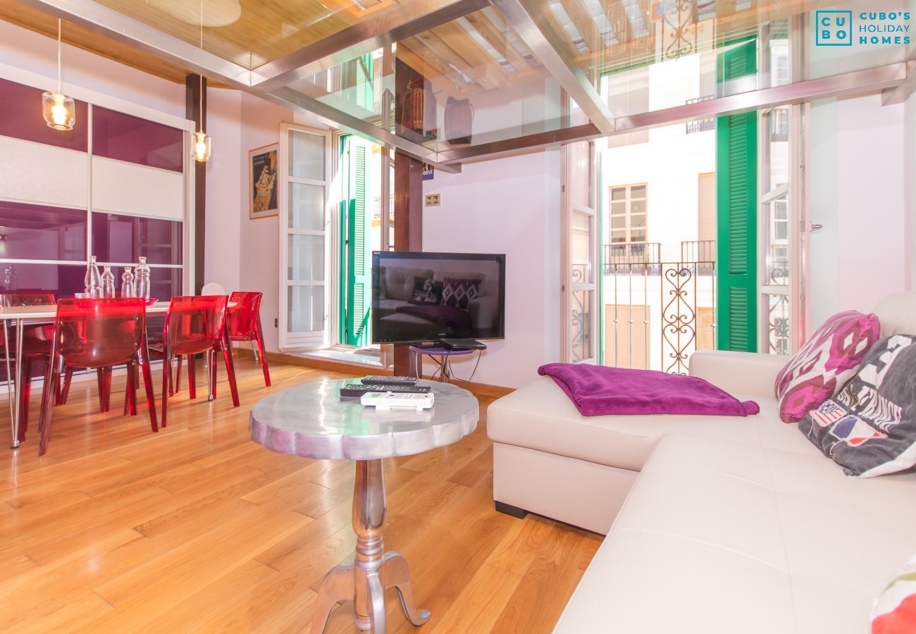 Living room of this apartment in the center of Malaga