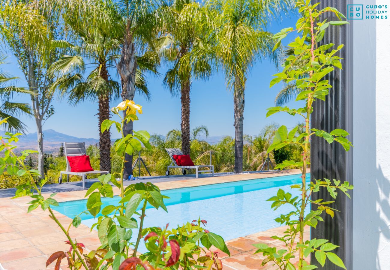 Private pool of this Finca in Alhaurín el Grande