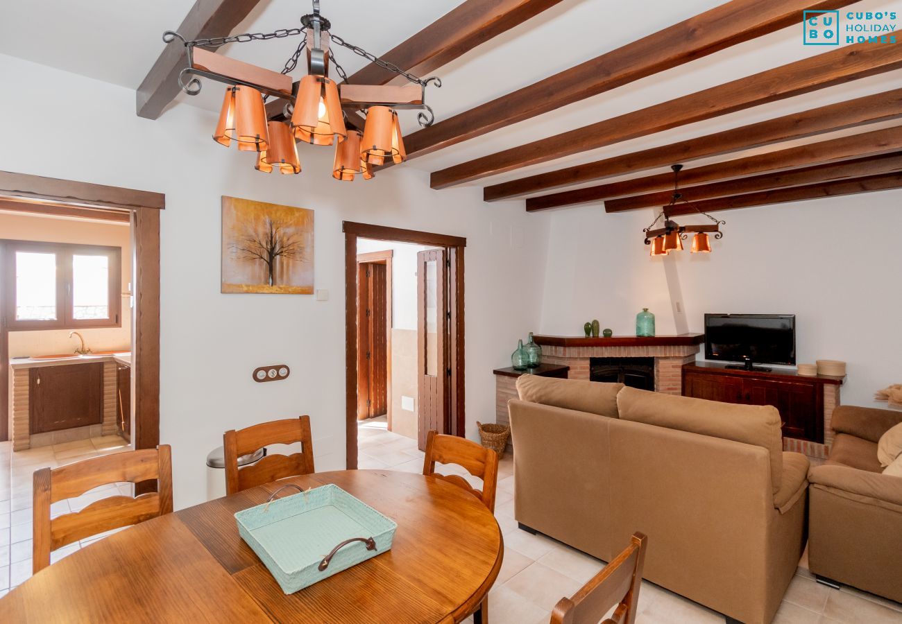 Living room with fireplace in this house in El Torcal