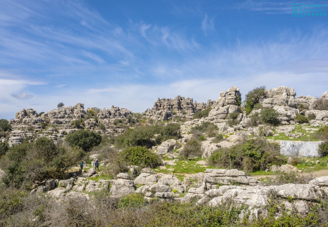 Cottage in Villanueva de la Concepción - Cubo's Casa El Torcal