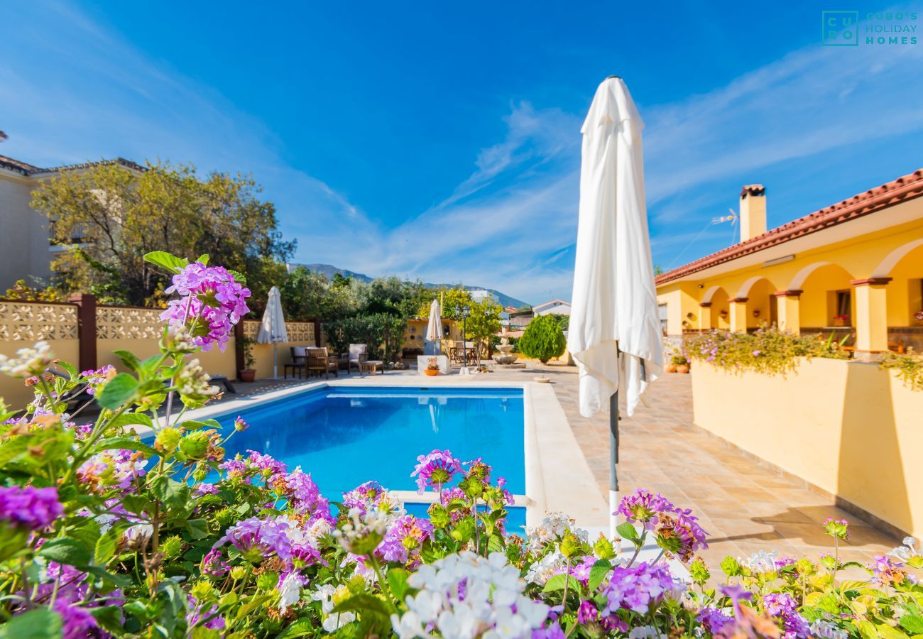 Private pool of this Finca in Alhaurín de la Torre