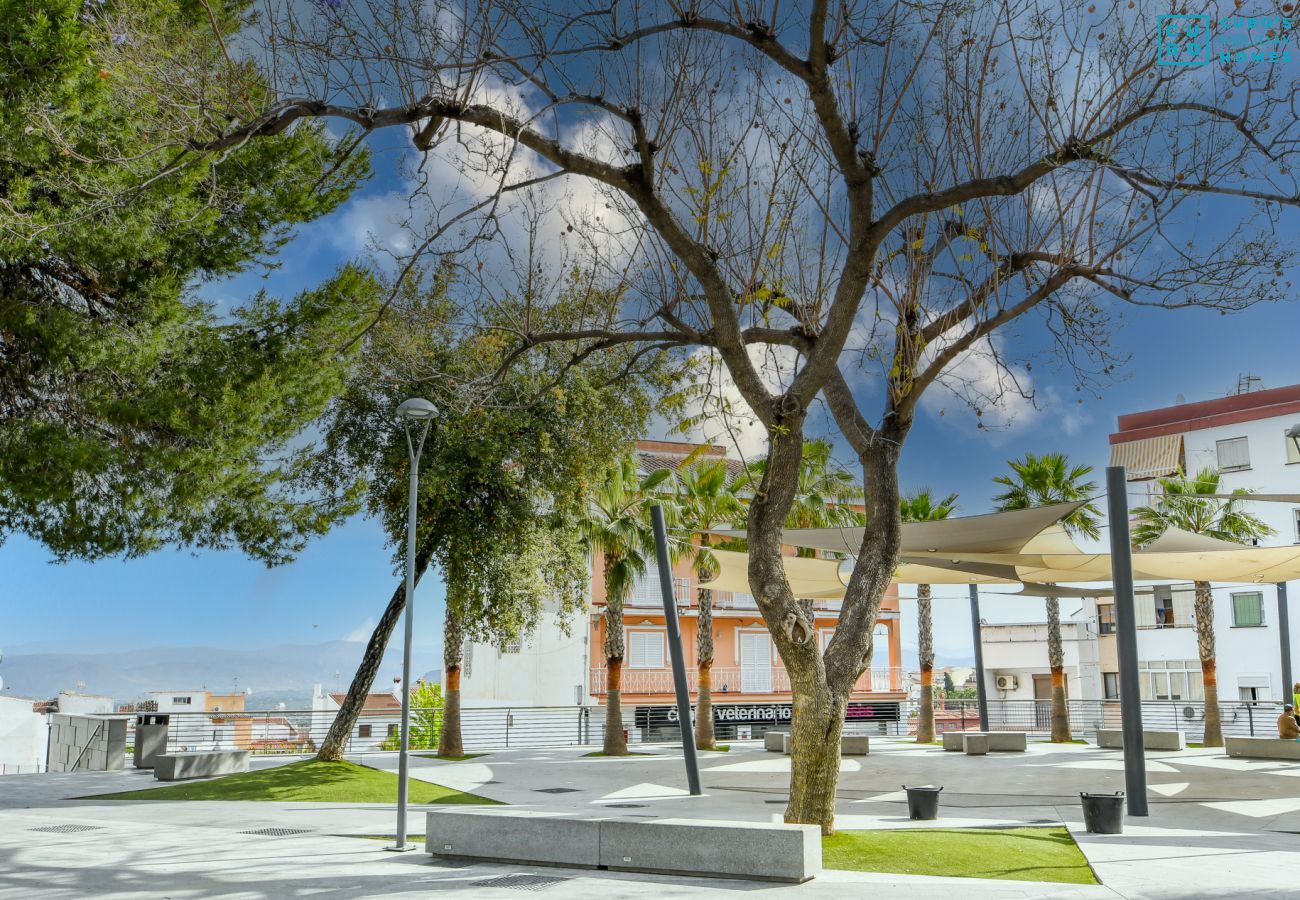 Surroundings of this apartment in Alhaurín el Grande