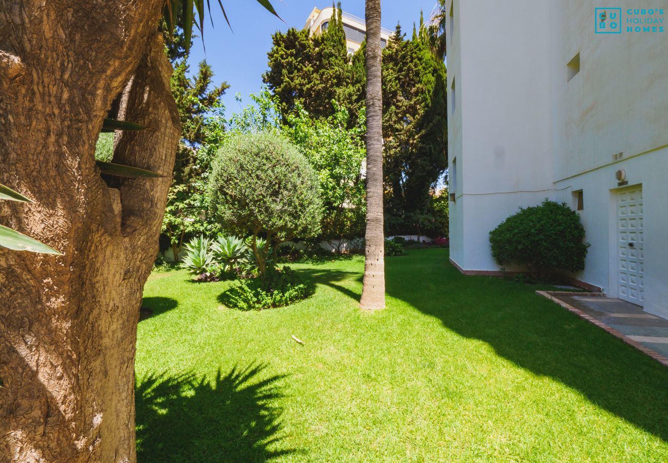Apartment in Torremolinos - Cubo's Apartamento Don Jaime Torremolinos