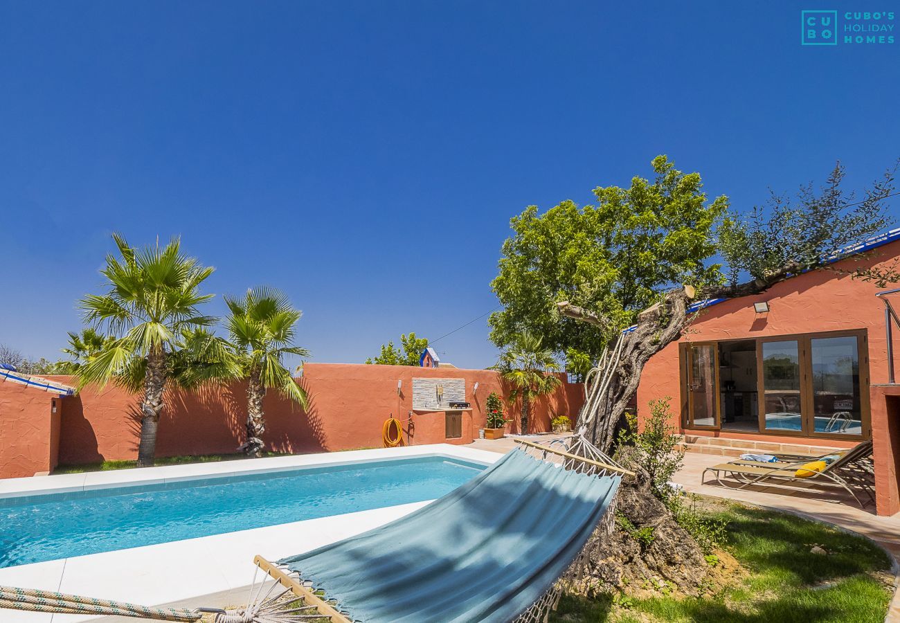 Private pool of this estate in Alhaurín el Grande