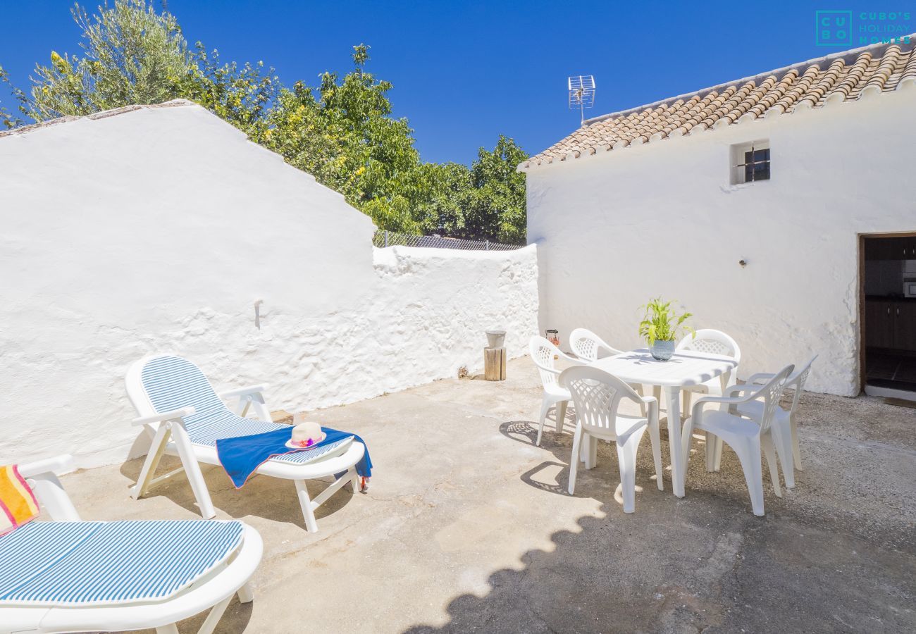 Terrace of this farm in Coín