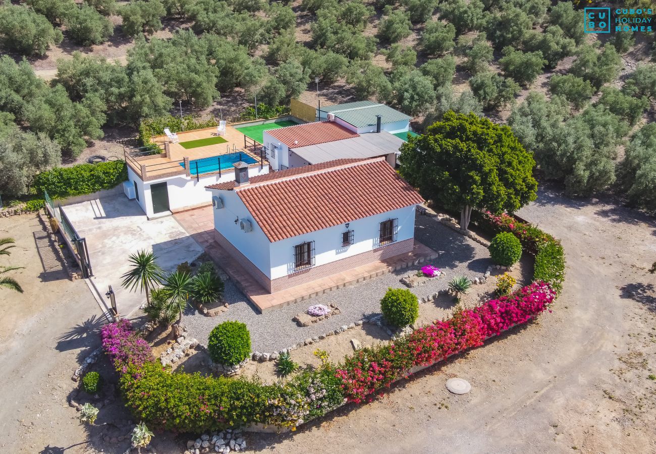 fenced plot, private pool, rural house