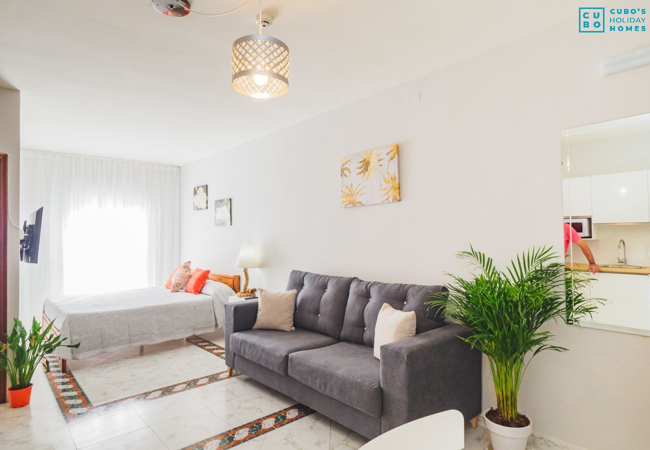 Living room of the apartment