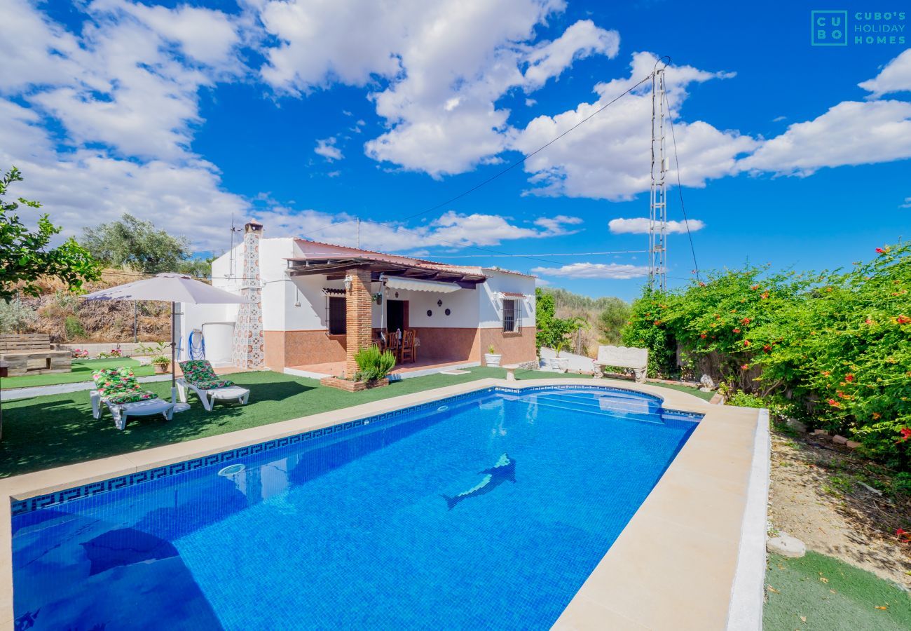 Pool and exterior of the house