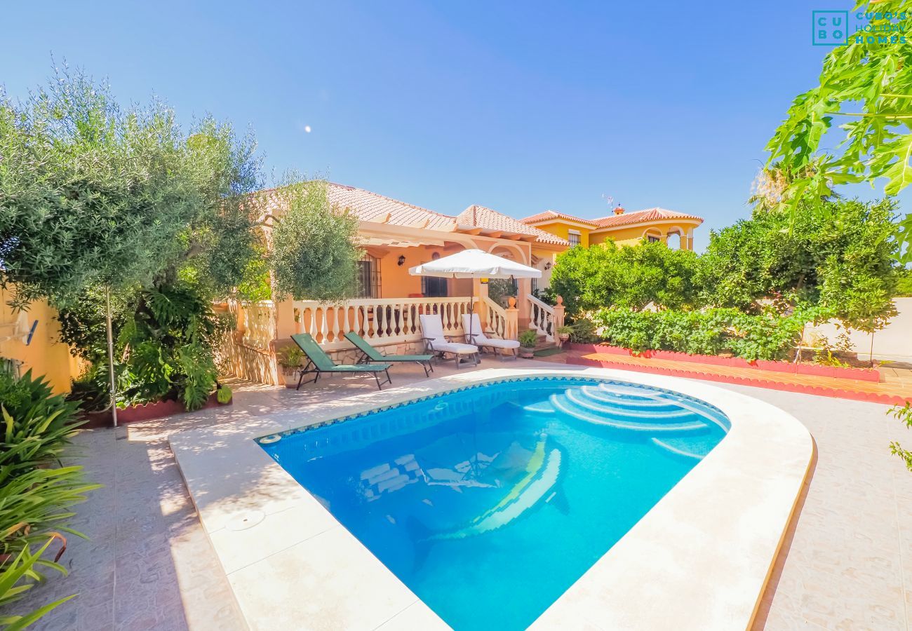 Pool of the villa